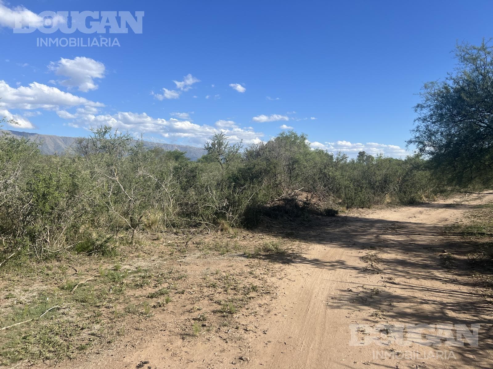 Campo en Venta en Merlo - Calle Publica - imagen 8