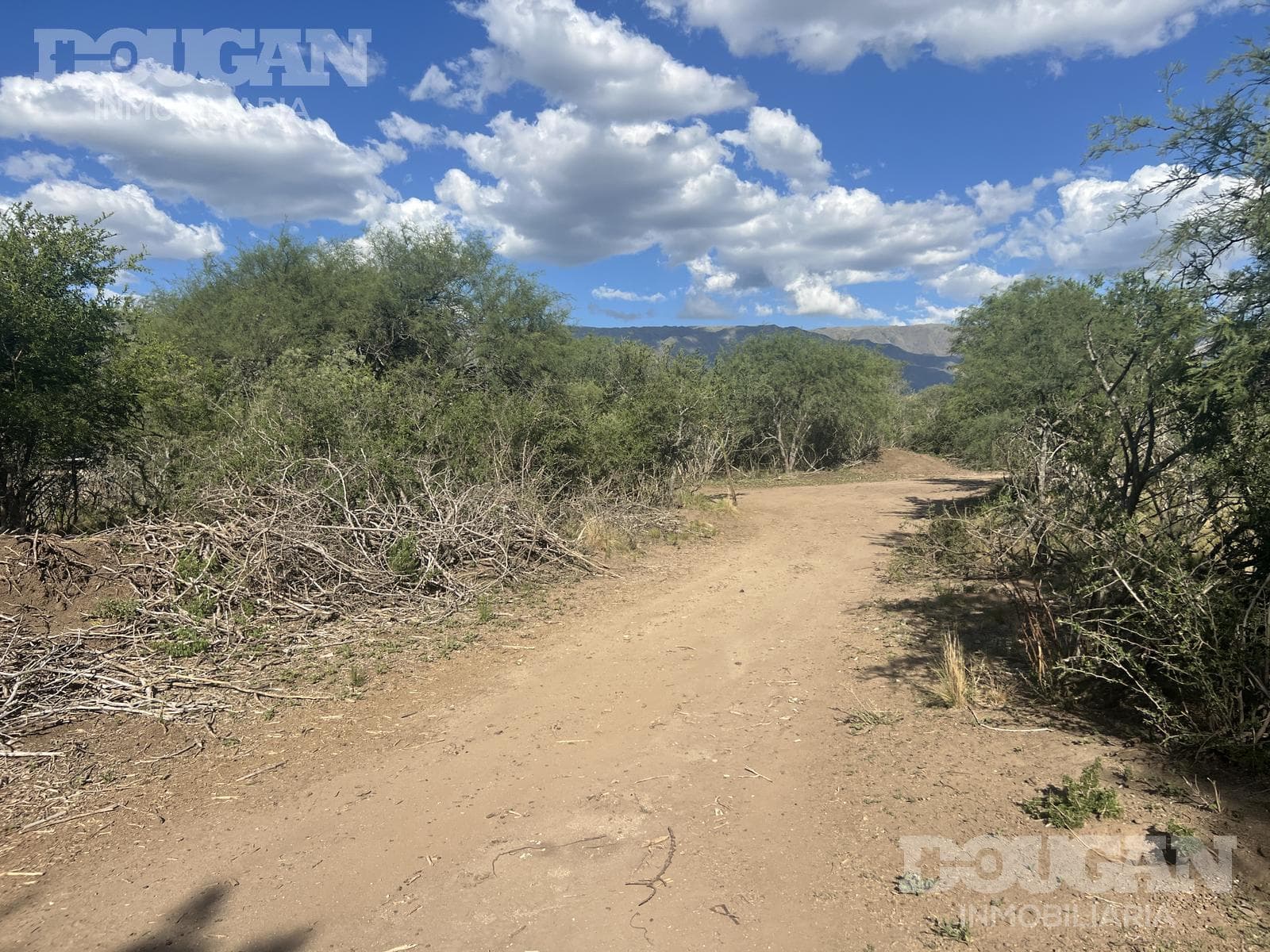 Campo en Venta en Merlo - Calle Publica - imagen 9