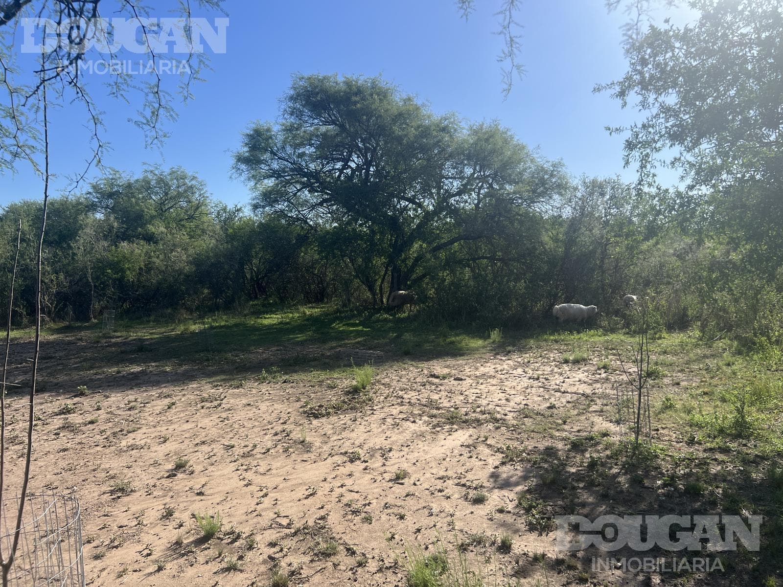 Campo en Venta en Merlo - Calle Publica - imagen 14