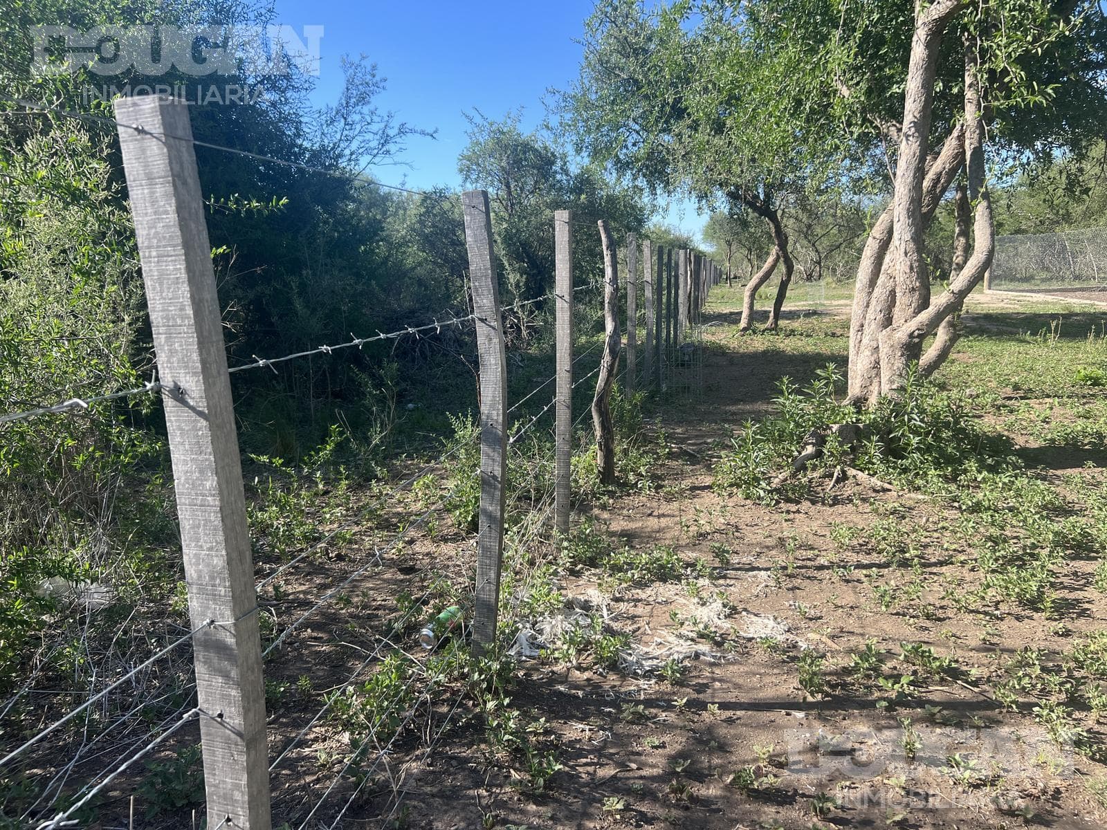 Campo en Venta en Merlo - Calle Publica - imagen 11