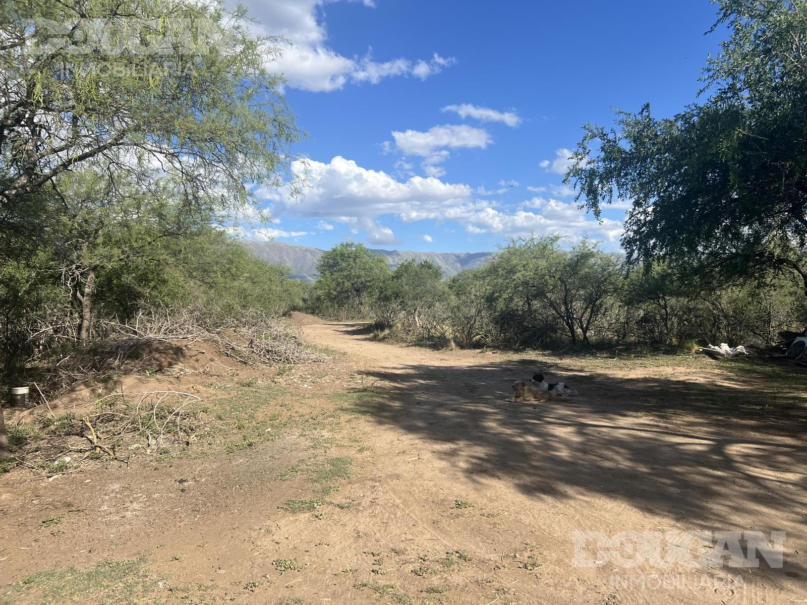 Campo en Venta en Merlo - Calle Publica - imagen 10