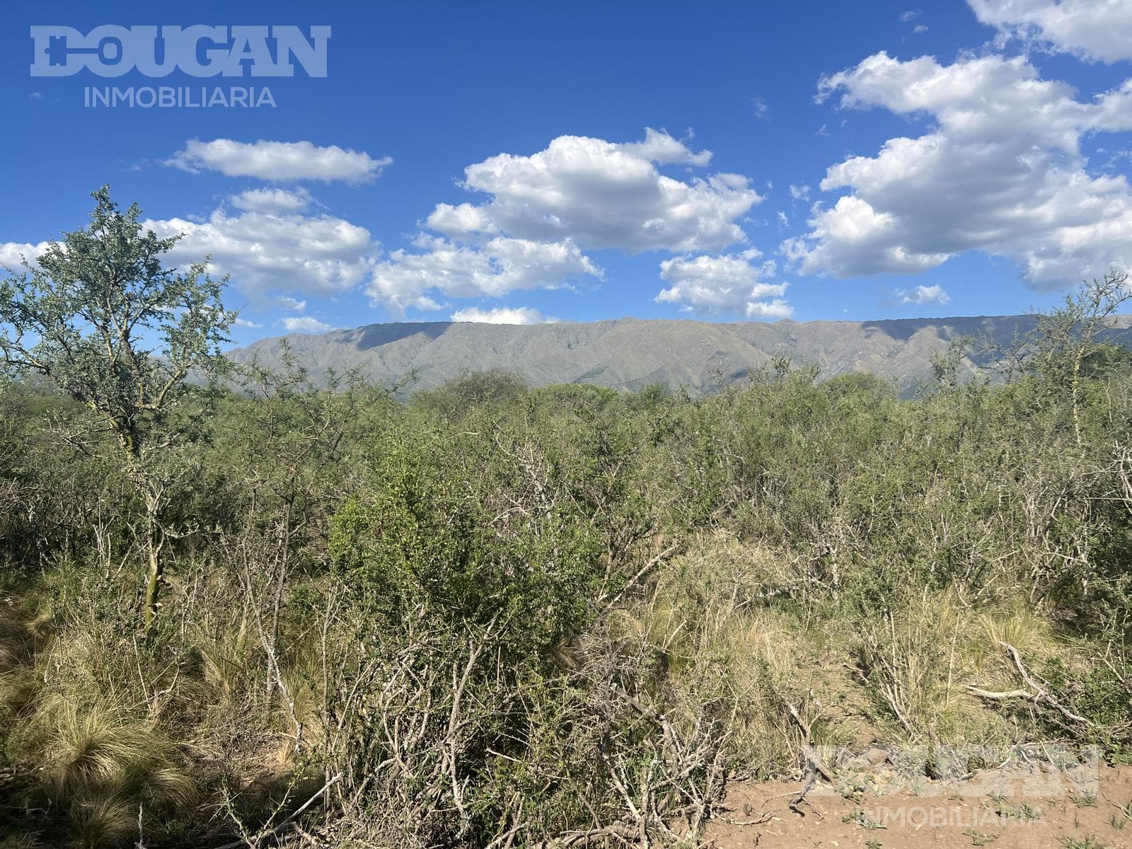 Campo en Venta en Merlo - Calle Publica - imagen 6