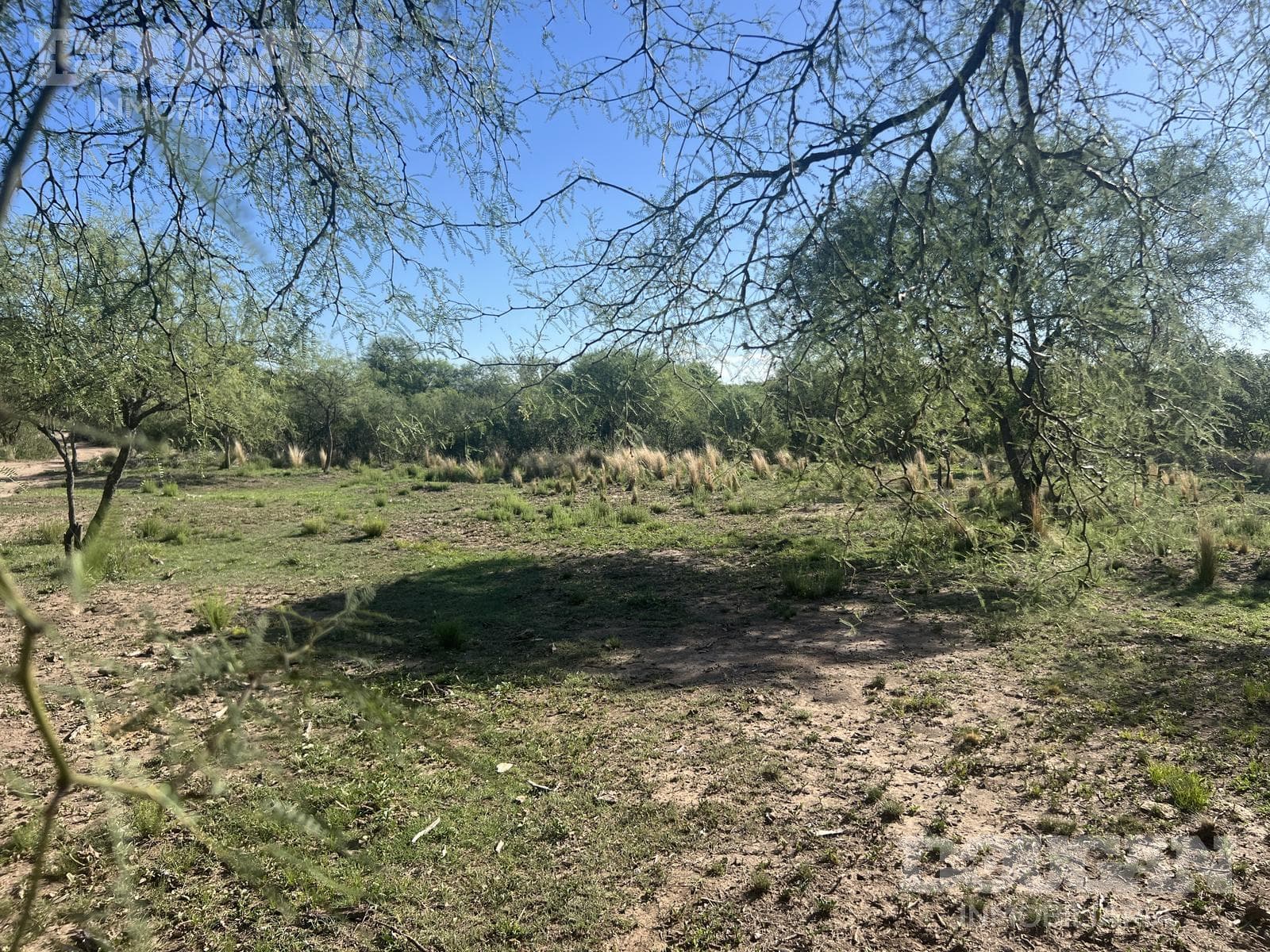 Campo en Venta en Merlo - Calle Publica - imagen 7