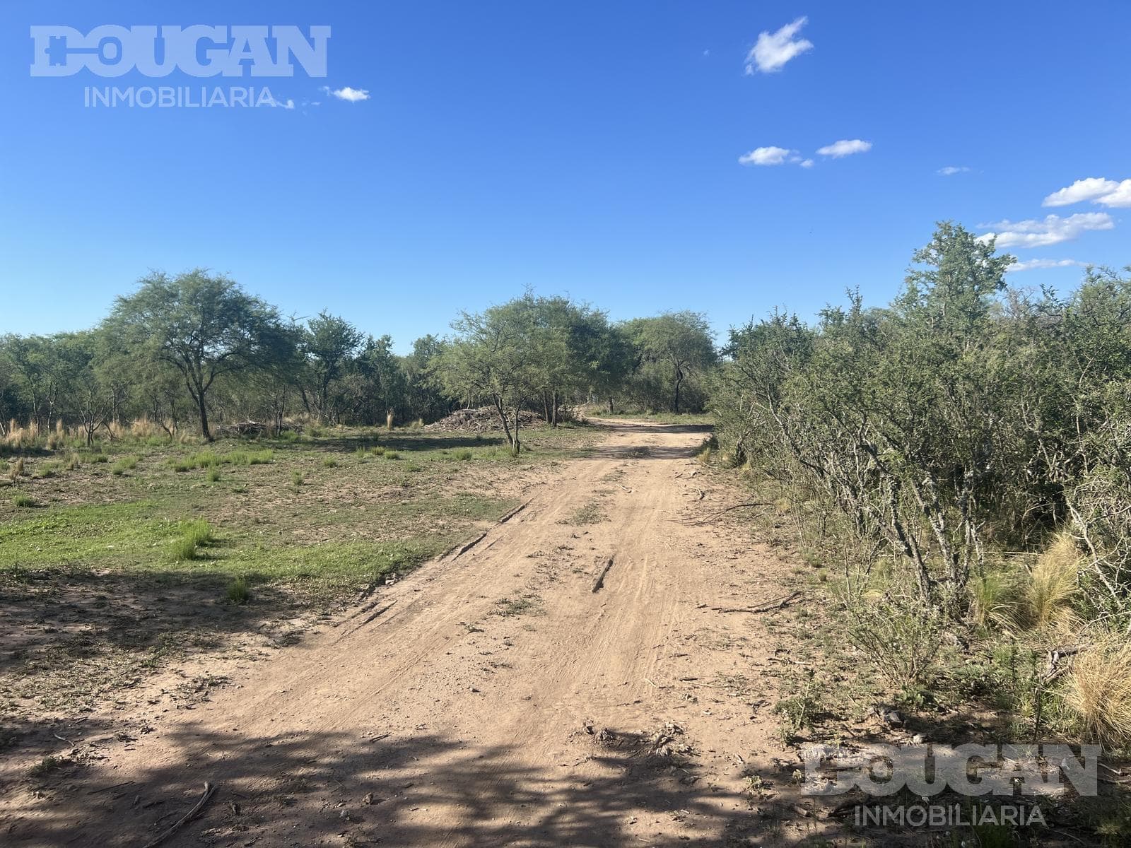 Campo en Venta en Merlo - Calle Publica - imagen 13