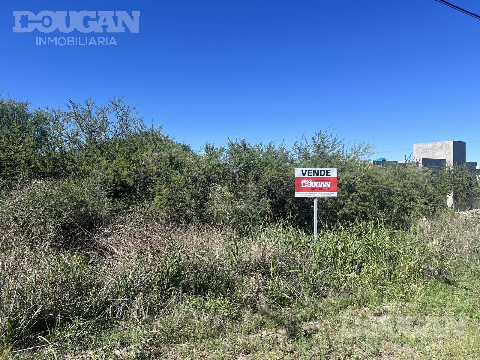 Terreno en Venta en Barrio Parque - Curtiembre Oeste - imagen 7