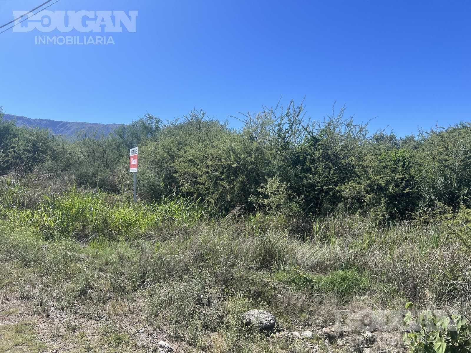 Terreno en Venta en Barrio Parque - Curtiembre Oeste - imagen 8