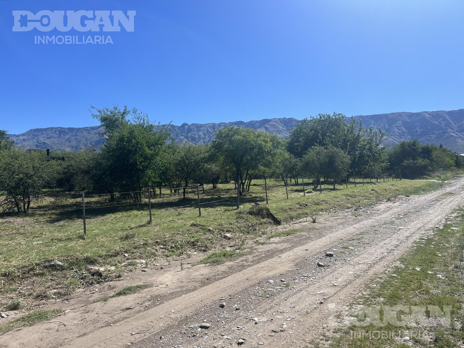 Terreno en Venta en Barrio Parque - Curtiembre Oeste - imagen 3