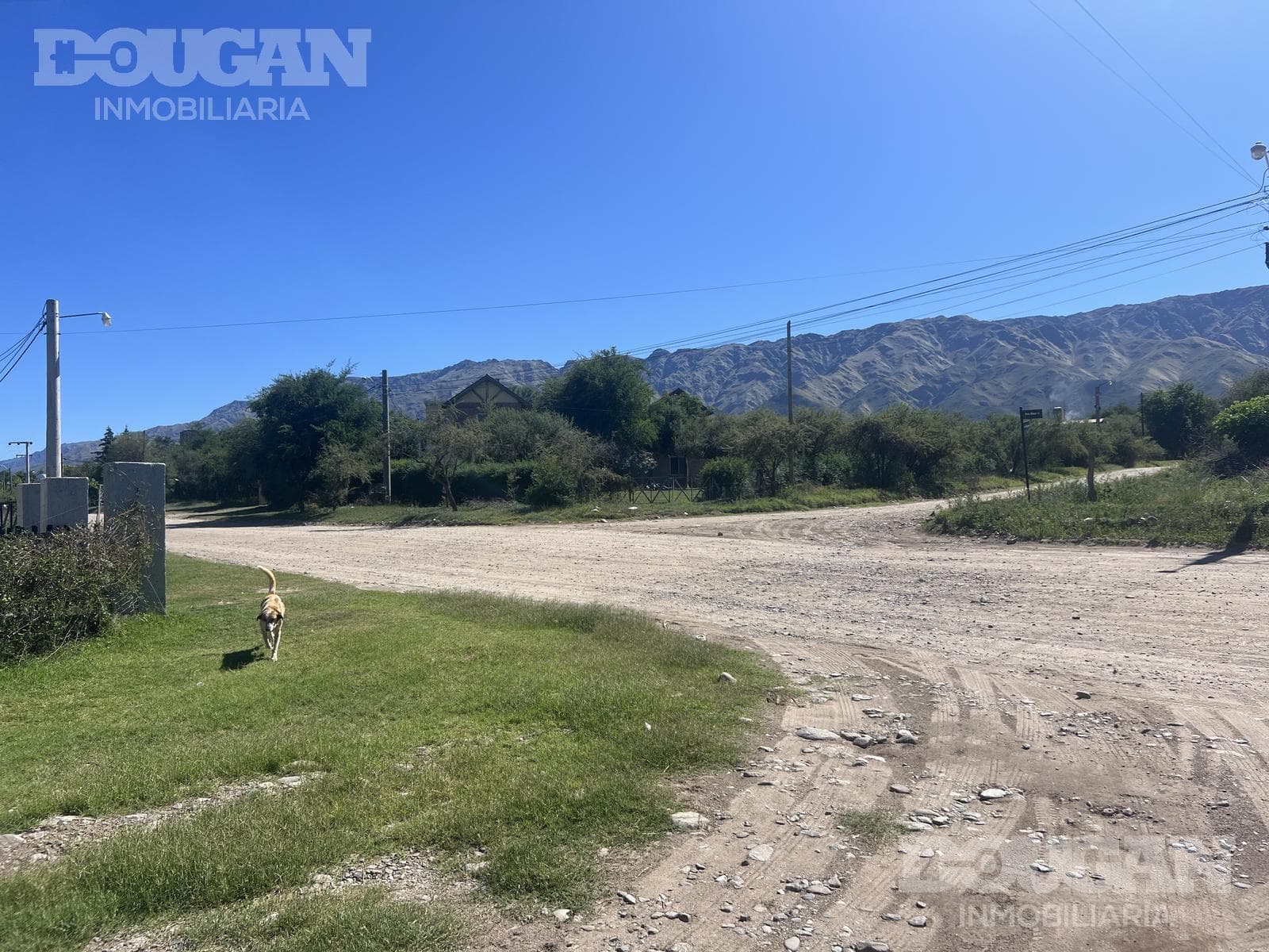 Terreno en Venta en Barrio Parque - Curtiembre Oeste - imagen 8