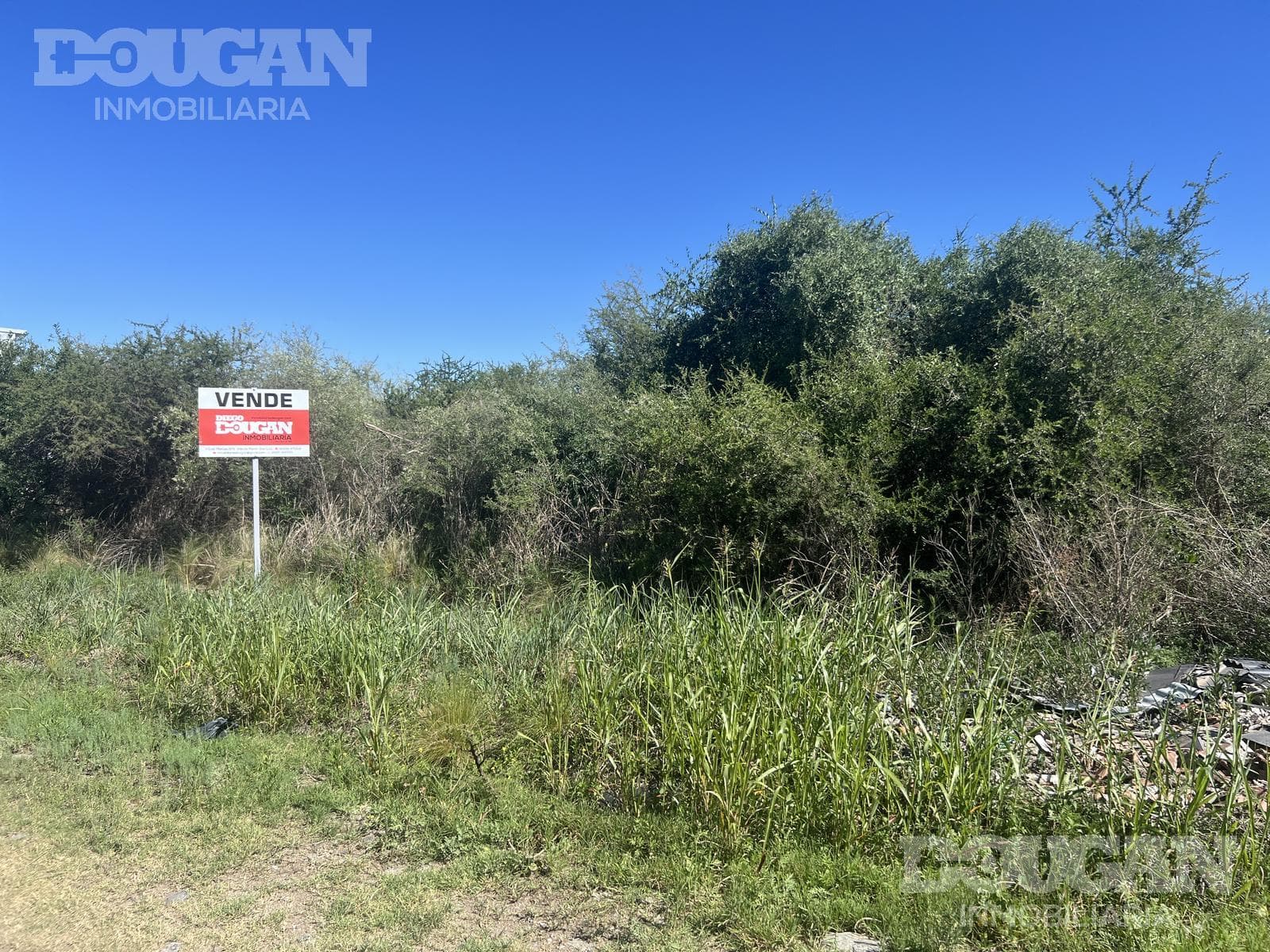 Terreno en Venta en Barrio Parque - Curtiembre Oeste - imagen 5