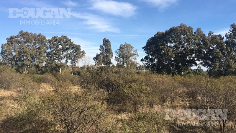 Terreno en Venta en Merlo - Sauzalito - imagen 22