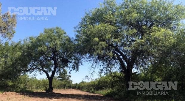 Terreno en Venta en Merlo - Sauzalito - imagen 24