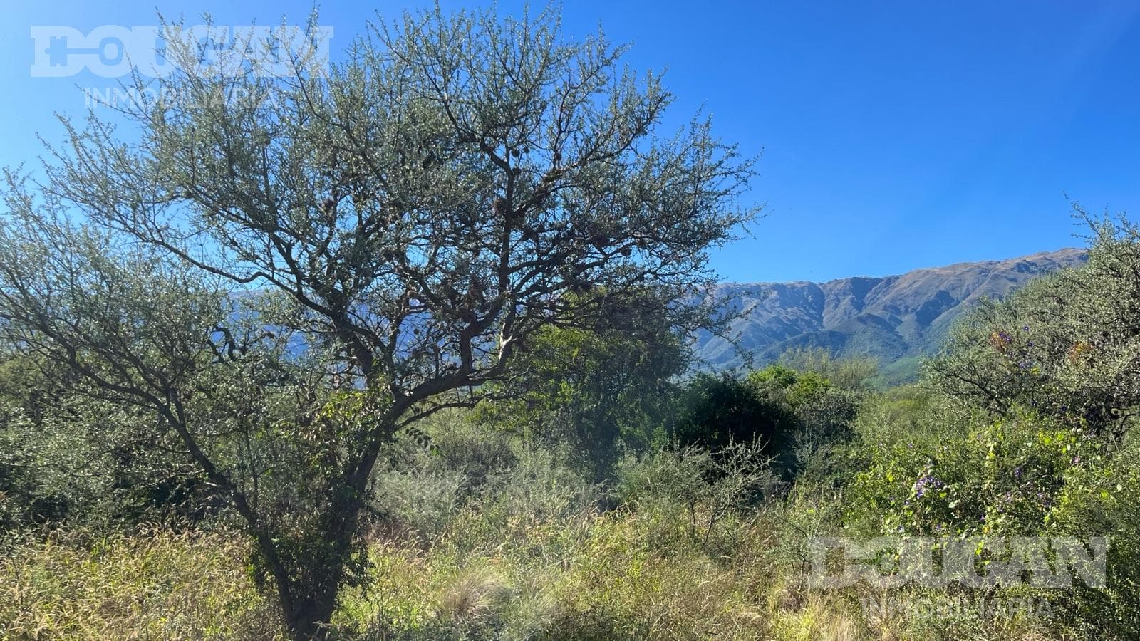 Terreno en Venta en Cerro de Oro - Loteo Sacramento - imagen 24