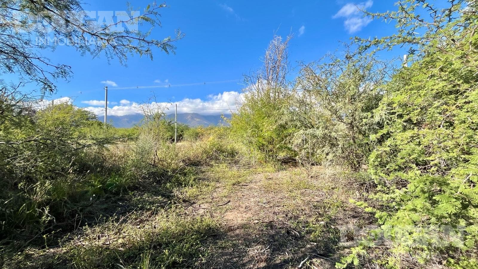 Terreno en Venta en Merlo - Calle publica (Sauzalito) - imagen 14