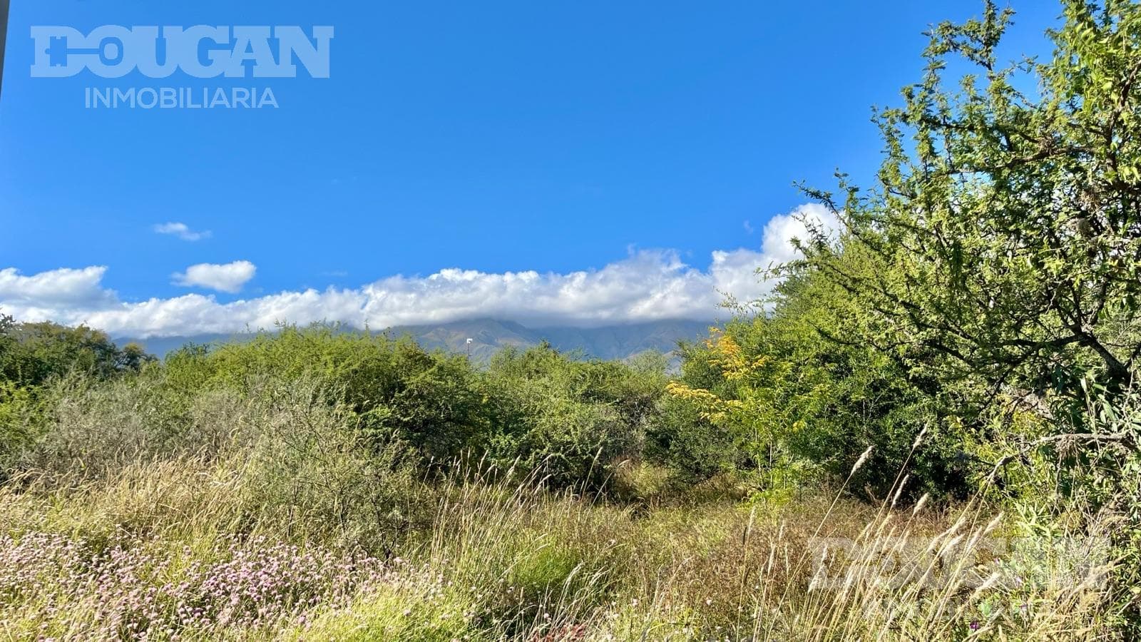 Terreno en Venta en Merlo - Calle publica (Sauzalito) - imagen 24
