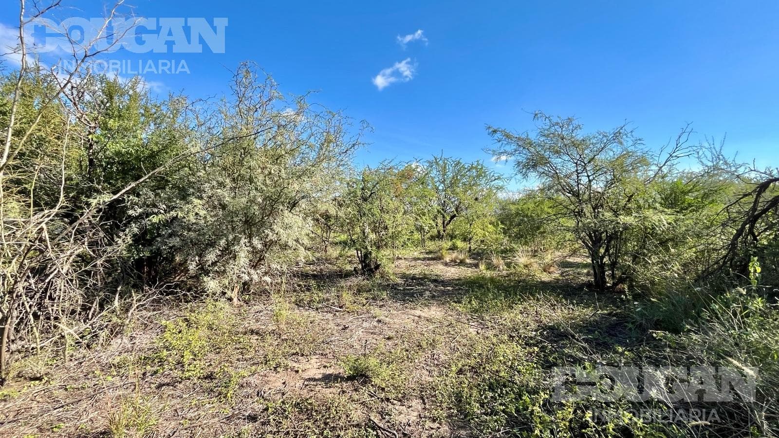 Terreno en Venta en Merlo - Calle publica (Sauzalito) - imagen 15