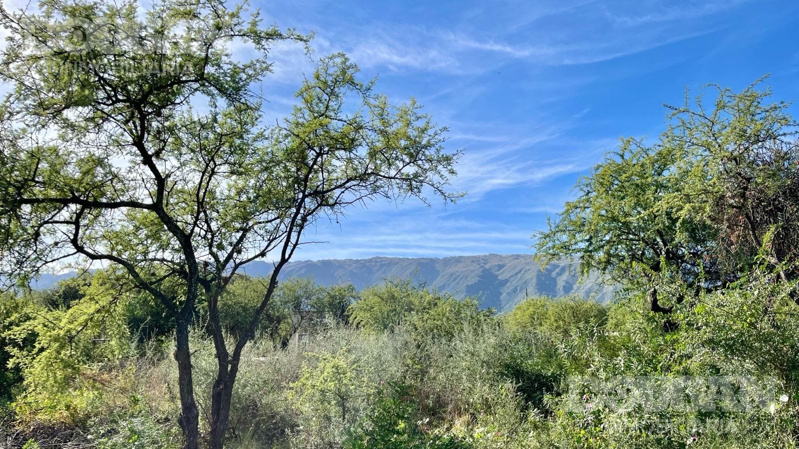 Terreno en Venta en Los Molles - Calle Pública (Los Molles) - imagen 7