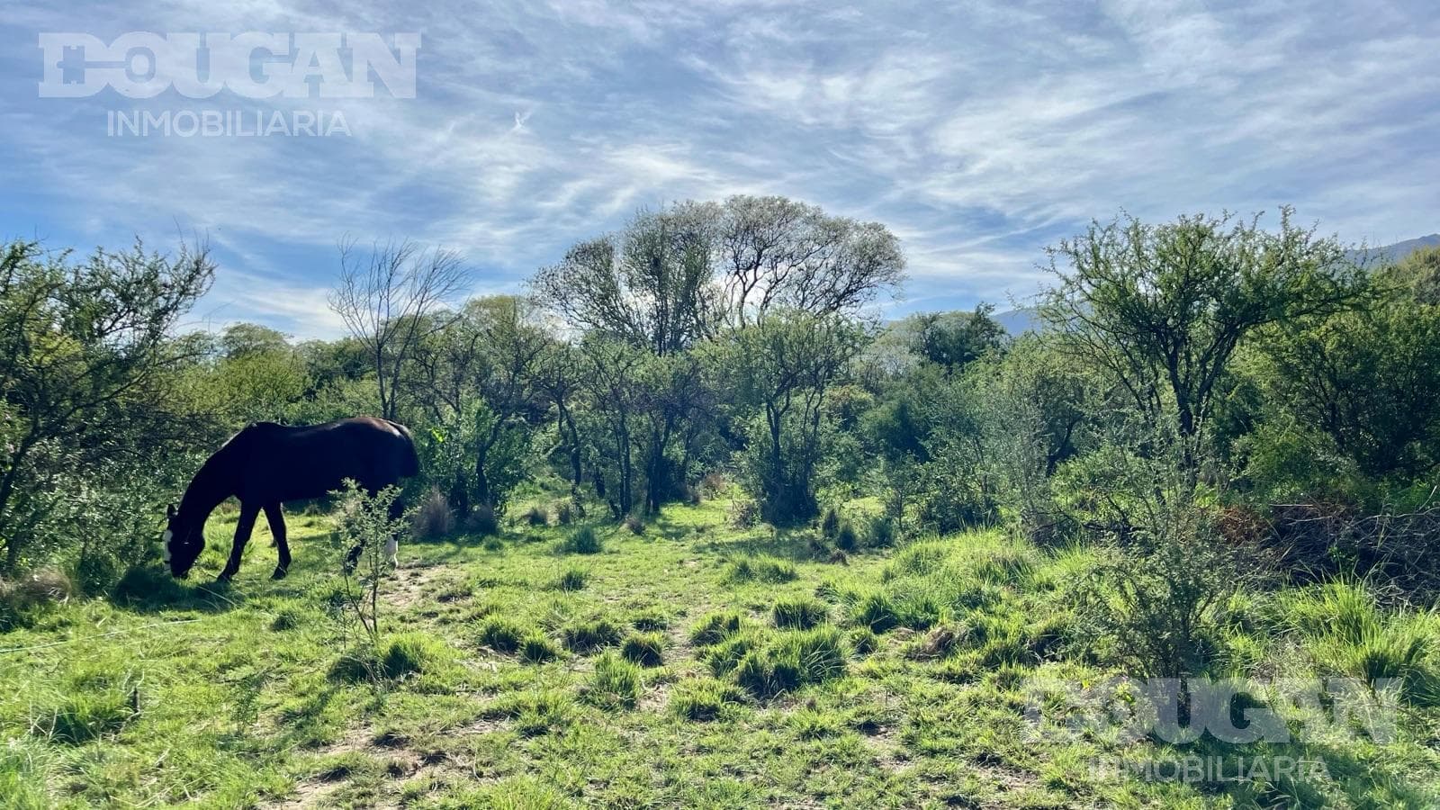 Terreno en Venta en Los Molles - Calle Pública (Los Molles) - imagen 8