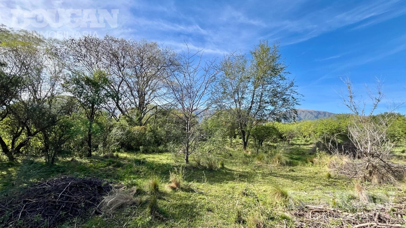 Terreno en Venta en Los Molles - Calle Pública (Los Molles) - imagen 13