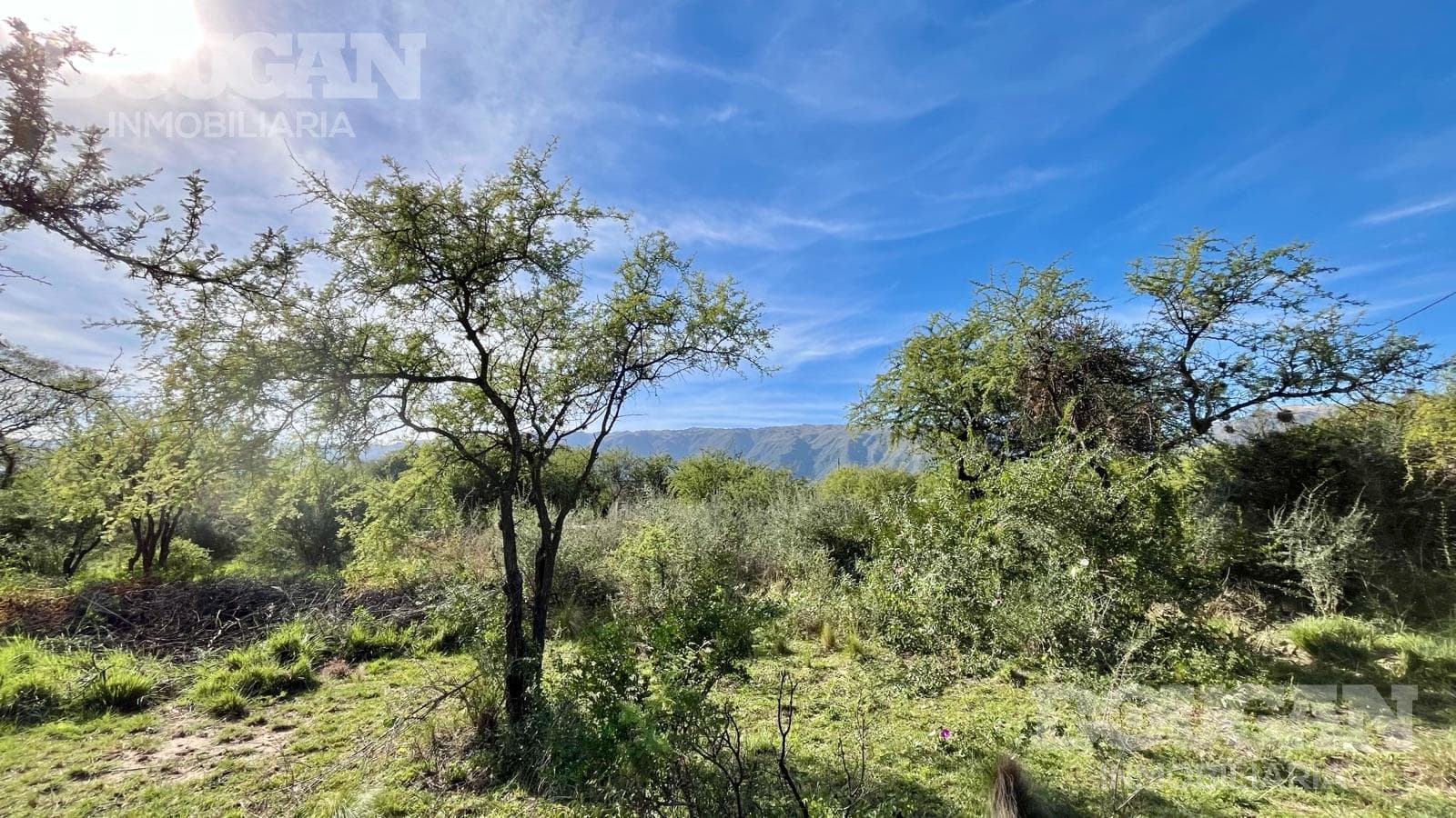 Terreno en Venta en Los Molles - Calle Pública (Los Molles) - imagen 5