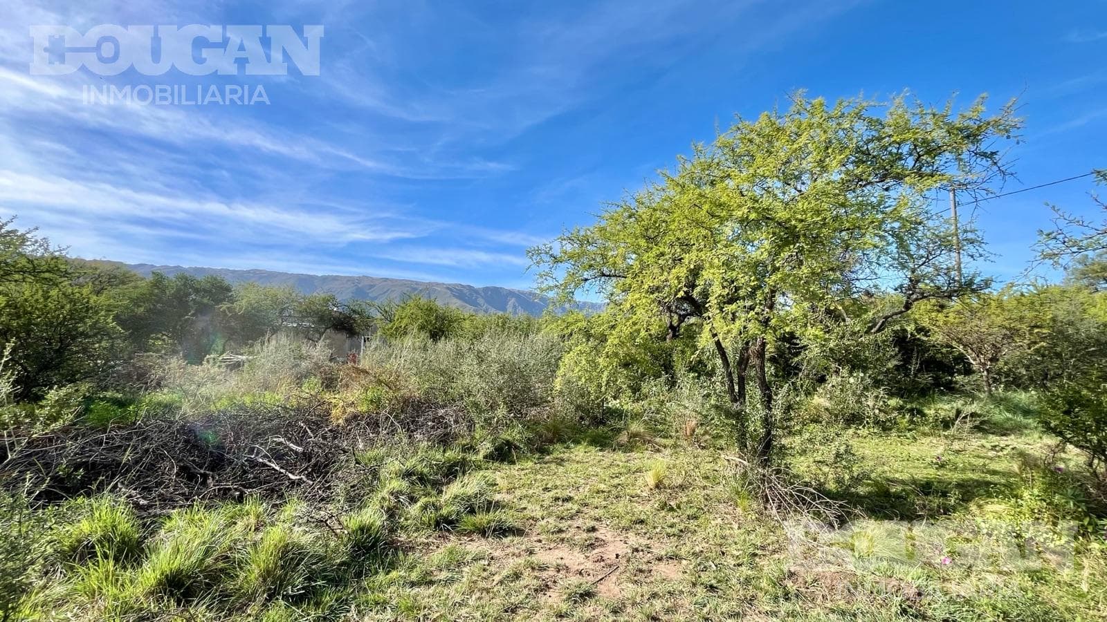 Terreno en Venta en Los Molles - Calle Pública (Los Molles) - imagen 10