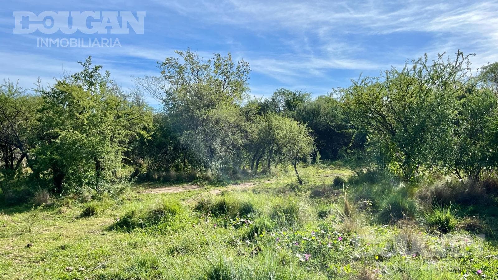 Terreno en Venta en Los Molles - Calle Pública (Los Molles) - imagen 12