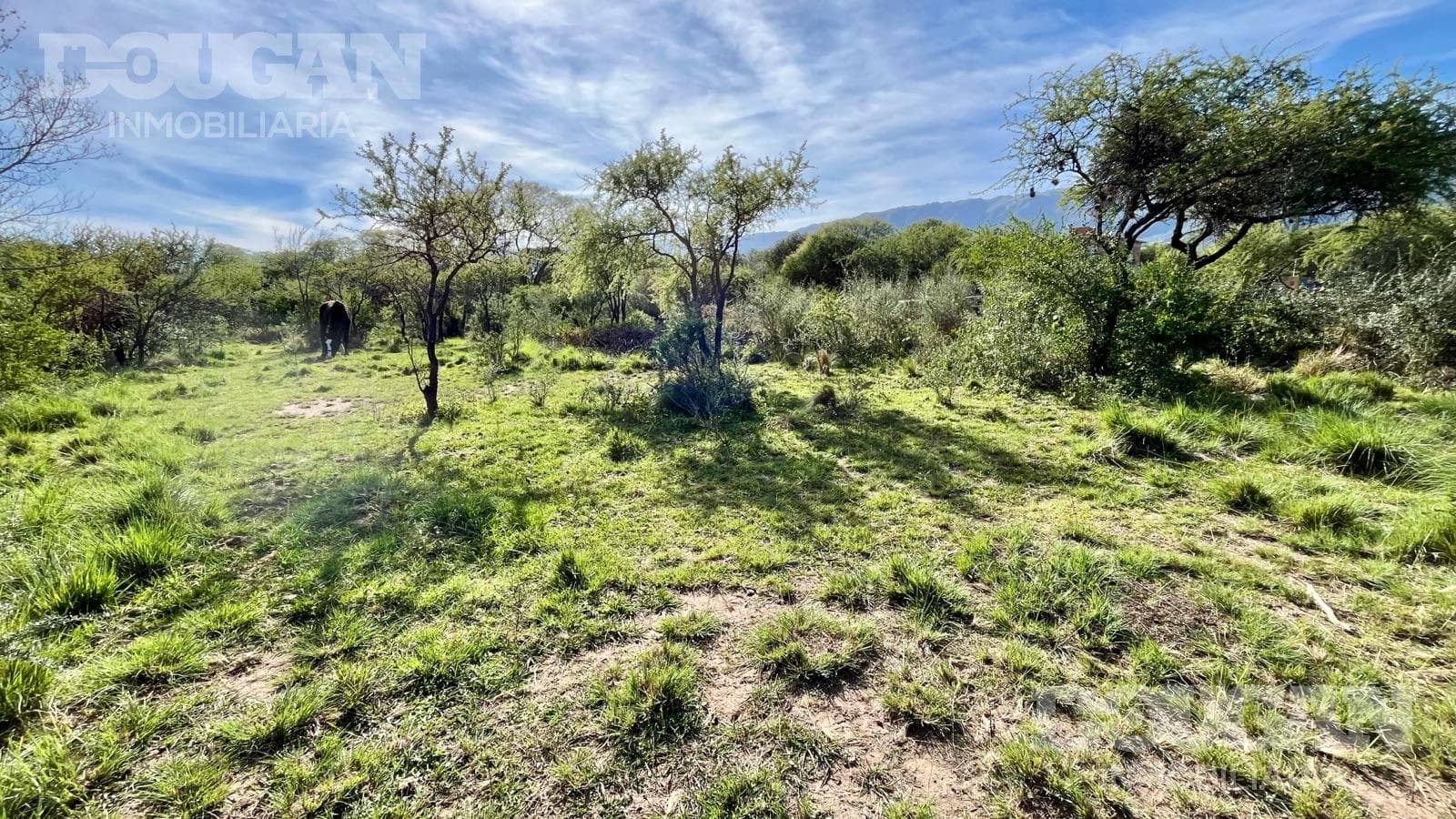 Terreno en Venta en Los Molles - Calle Pública (Los Molles) - imagen 4