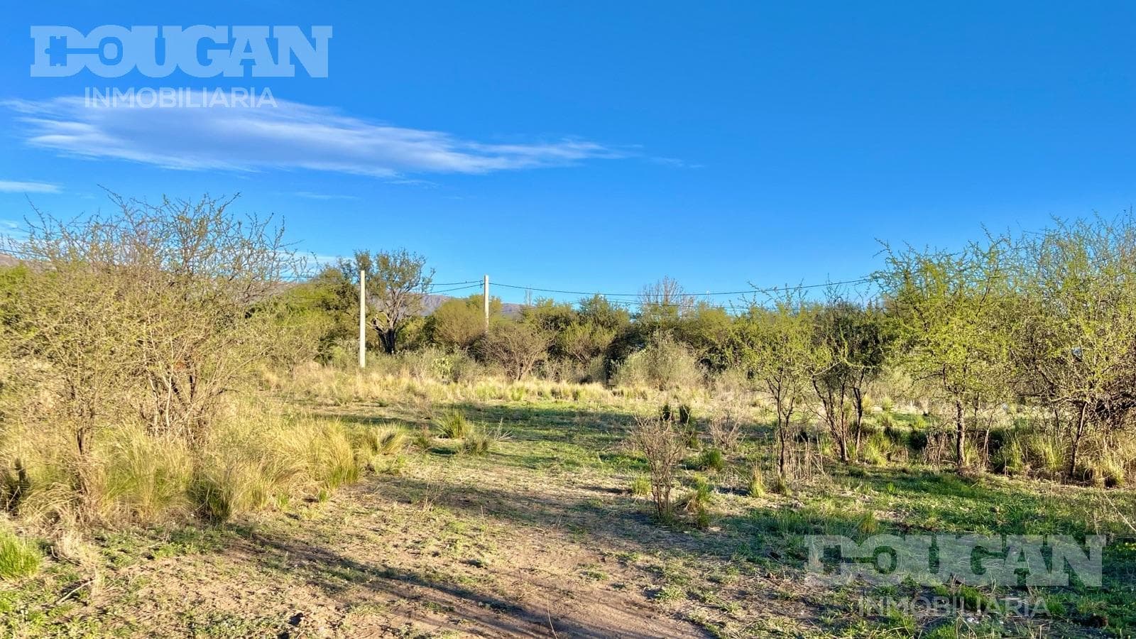 Terreno en Venta en Piedra Blanca Abajo - La Pasionaria - imagen 13