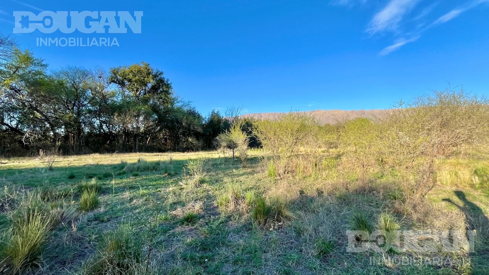 Terreno en Venta en Piedra Blanca Abajo - La Pasionaria - imagen 7