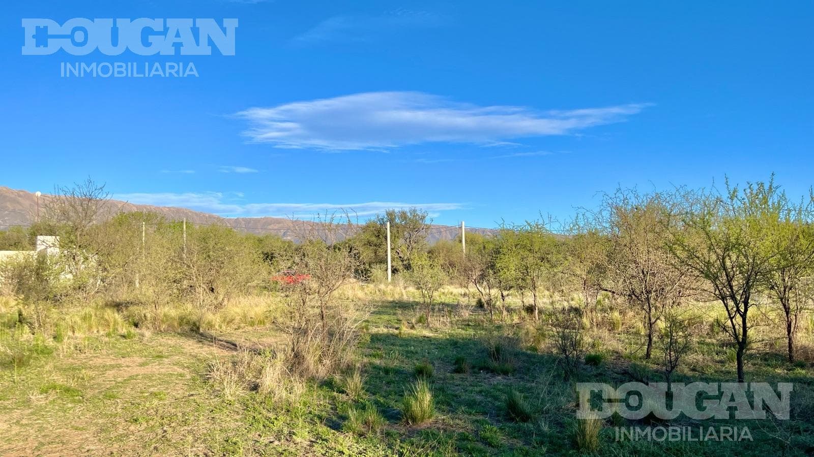 Terreno en Venta en Piedra Blanca Abajo - La Pasionaria - imagen 11
