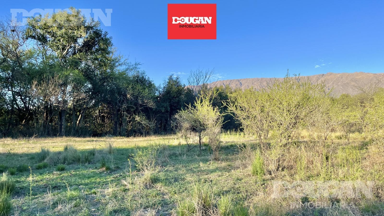 Terreno en Venta en Piedra Blanca Abajo - La Pasionaria