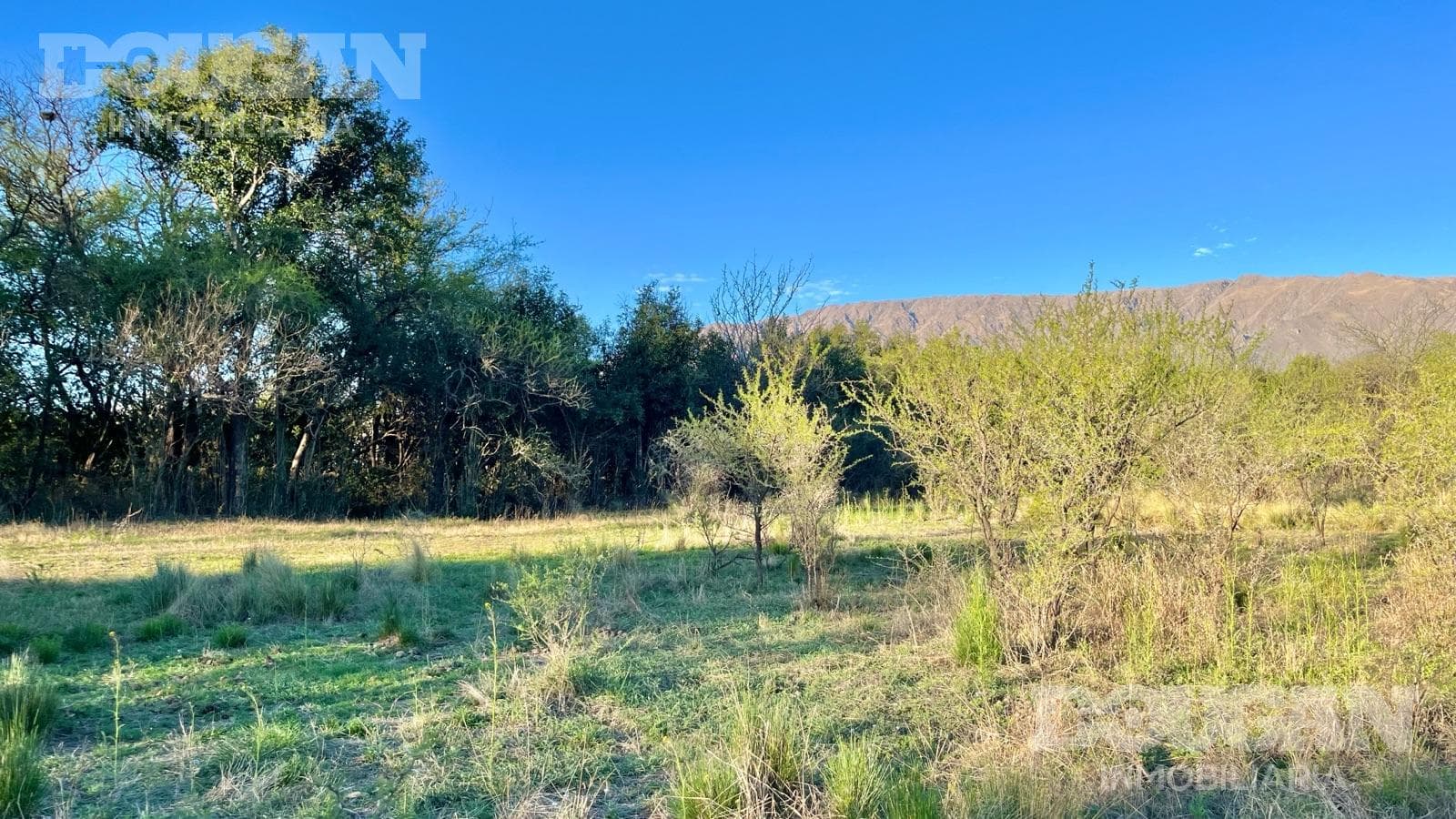 Terreno en Venta en Piedra Blanca Abajo - La Pasionaria - imagen 10