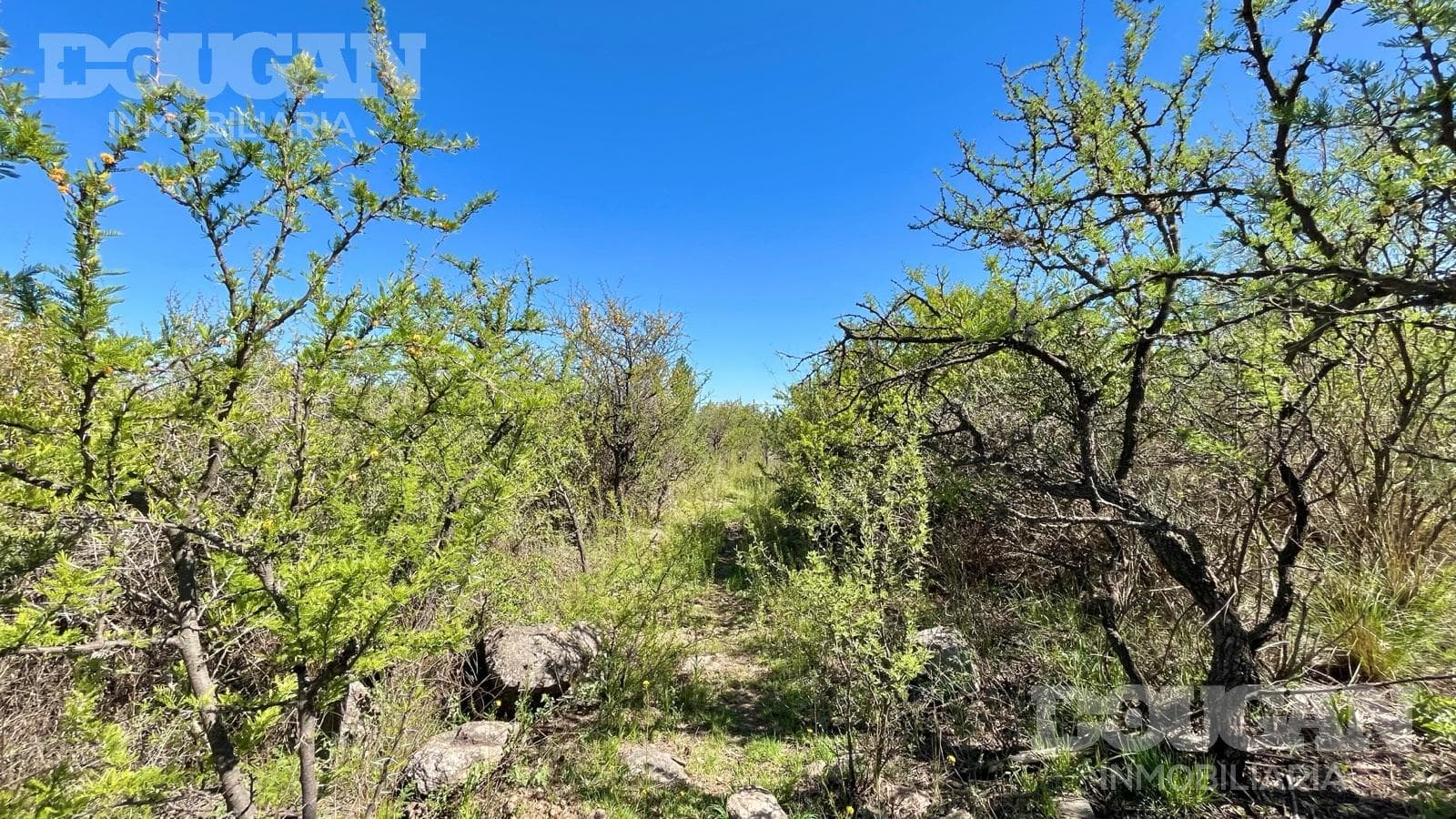 Terreno en Venta en Cerro de Oro - El Poleo (Cerro de Oro) - imagen 7