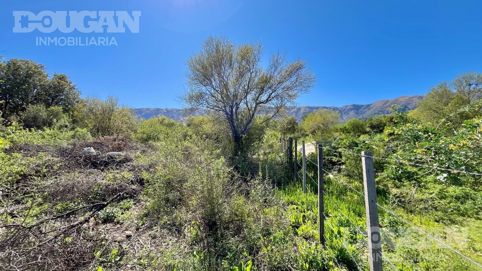 Terreno en Venta en Cerro de Oro - El Poleo (Cerro de Oro) - imagen 8