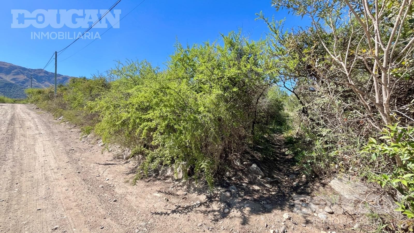 Terreno en Venta en Cerro de Oro - El Poleo (Cerro de Oro) - imagen 13