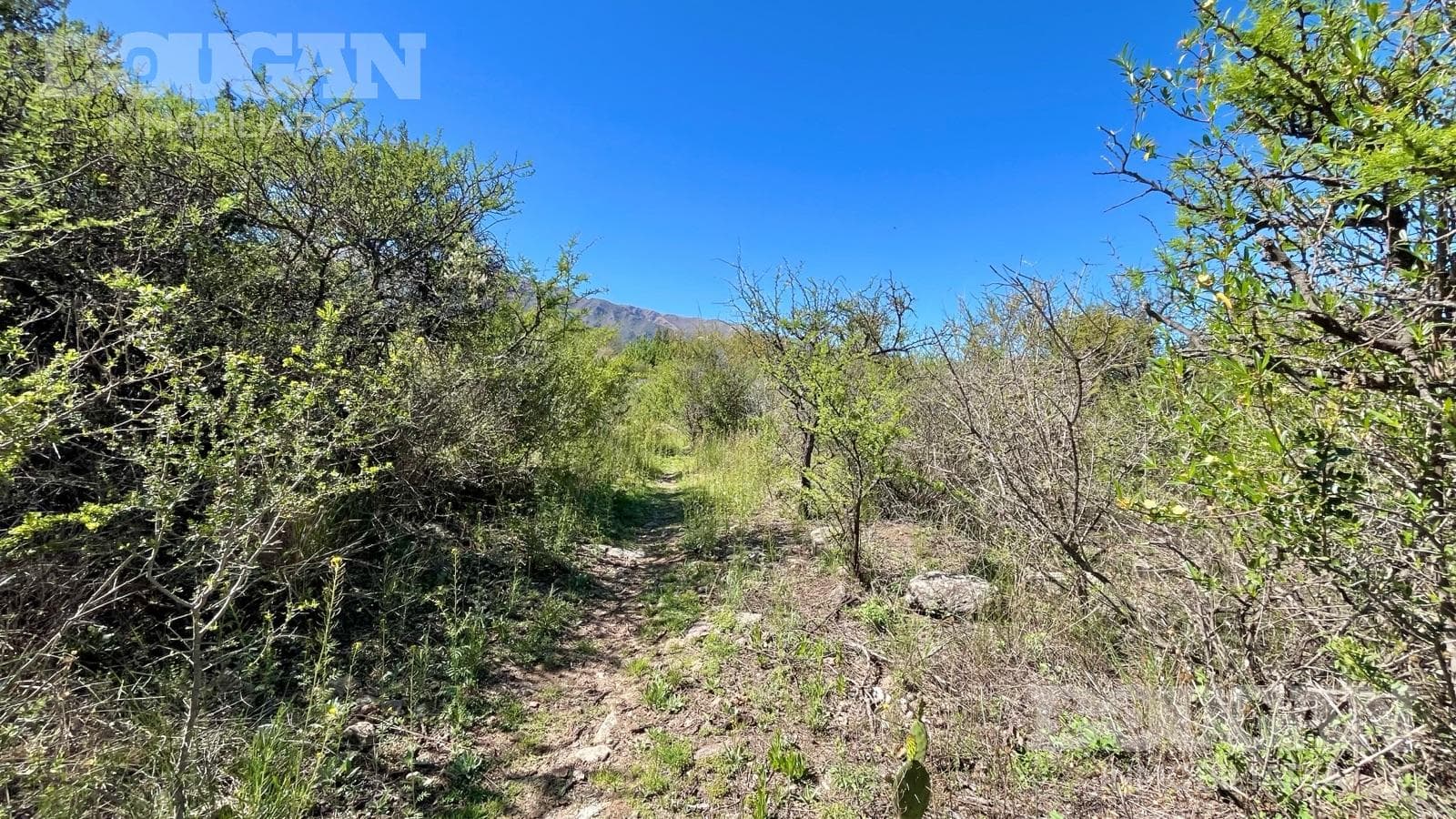 Terreno en Venta en Cerro de Oro - El Poleo (Cerro de Oro) - imagen 10