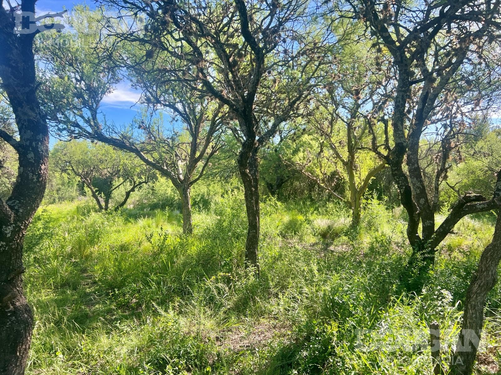 Terreno en Venta en Merlo - Loteo Sacramento - imagen 6