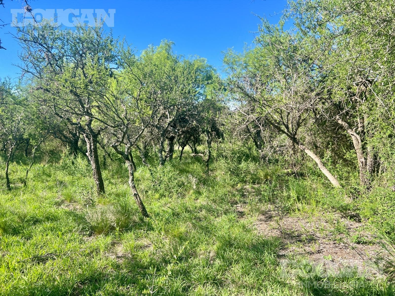 Terreno en Venta en Merlo - Loteo Sacramento - imagen 8