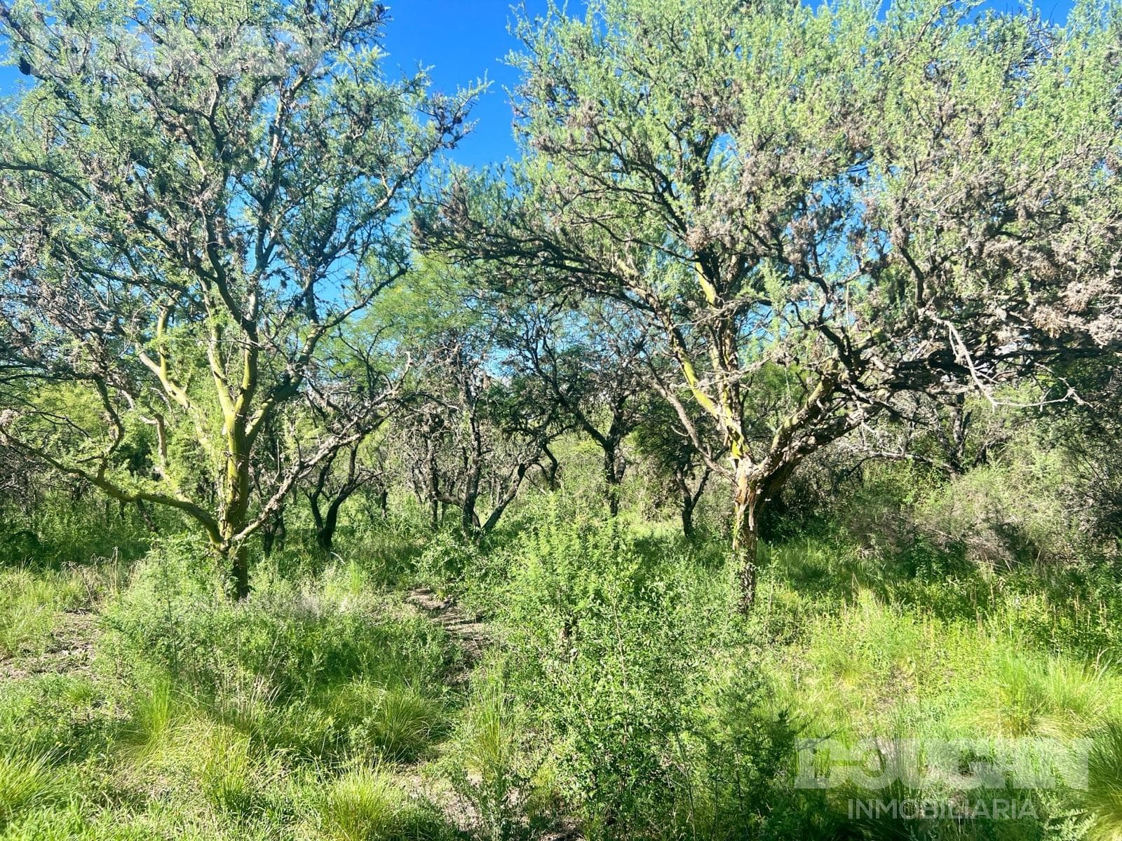 Terreno en Venta en Merlo - Loteo Sacramento - imagen 9