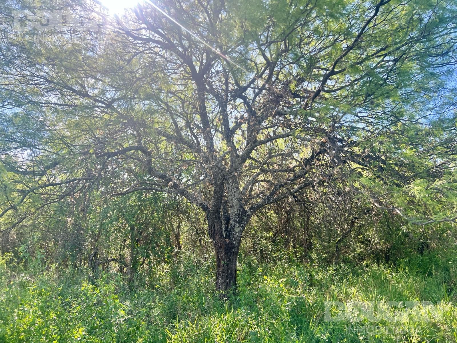 Terreno en Venta en Merlo - Loteo Sacramento - imagen 4