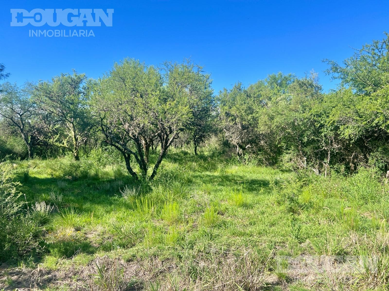 Terreno en Venta en Merlo - Loteo Sacramento - imagen 10