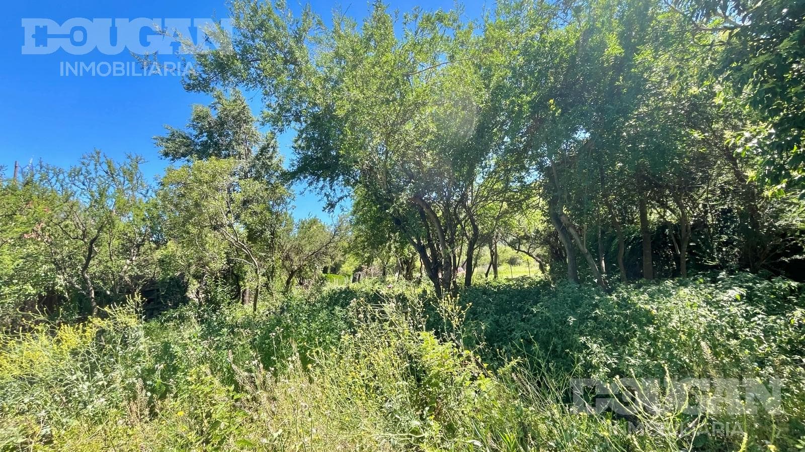 Terreno en Venta en Merlo - Ruta 5 - imagen 19