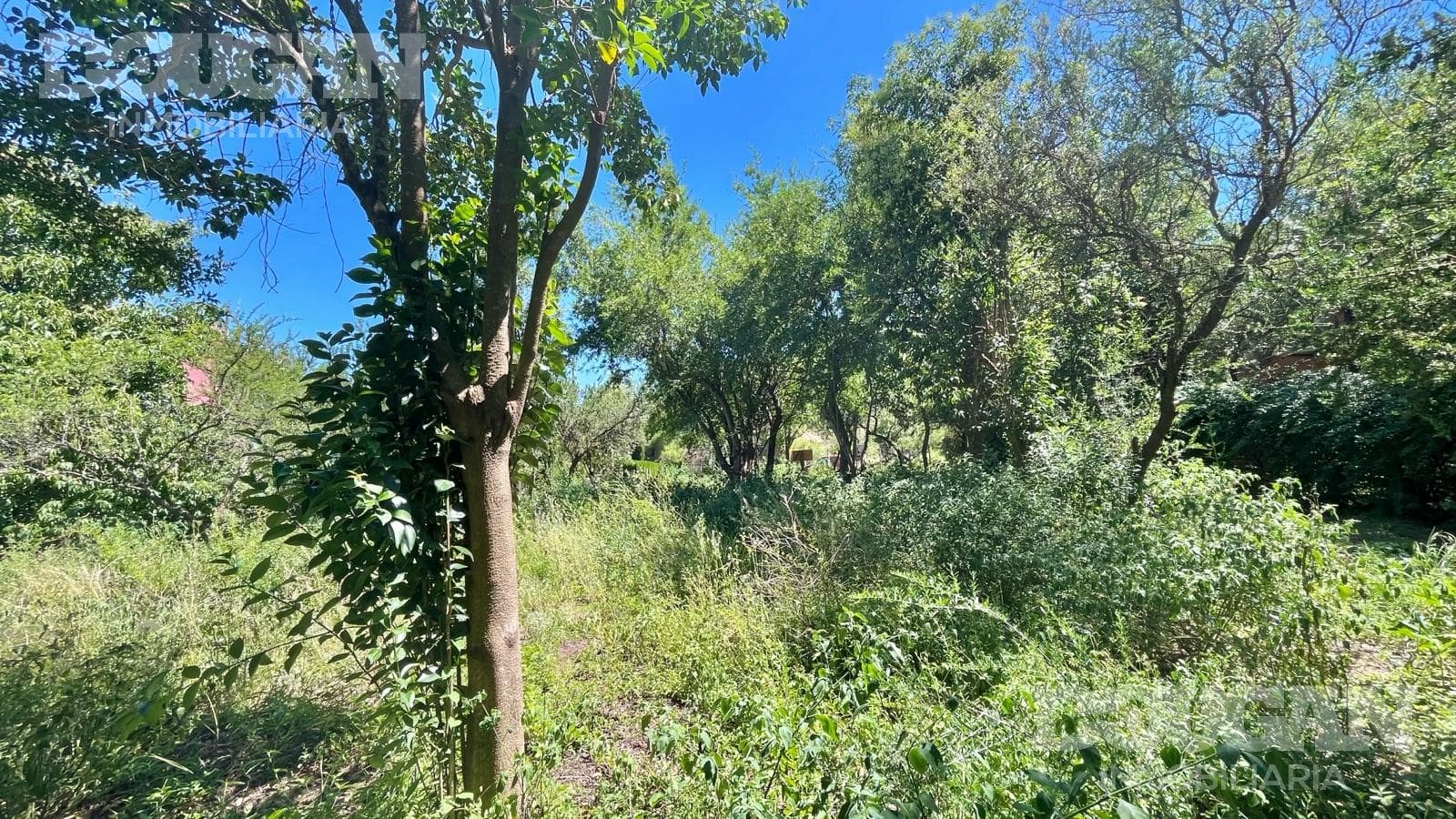 Terreno en Venta en Merlo - Ruta 5 - imagen 18