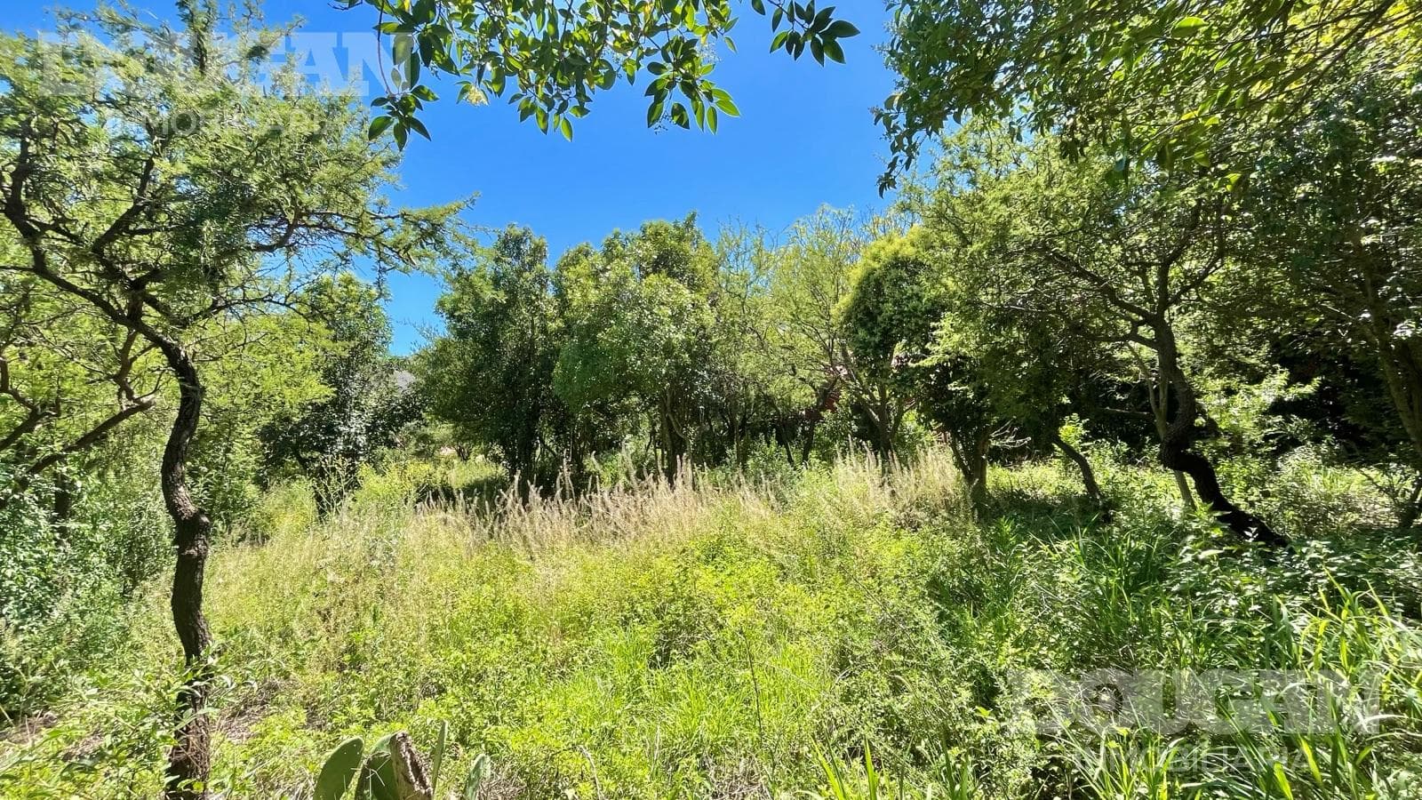 Terreno en Venta en Merlo - Ruta 5 - imagen 15