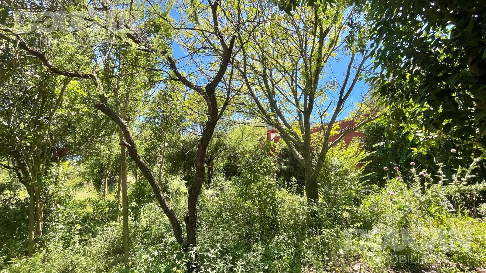 Terreno en Venta en Merlo - Ruta 5 - imagen 17