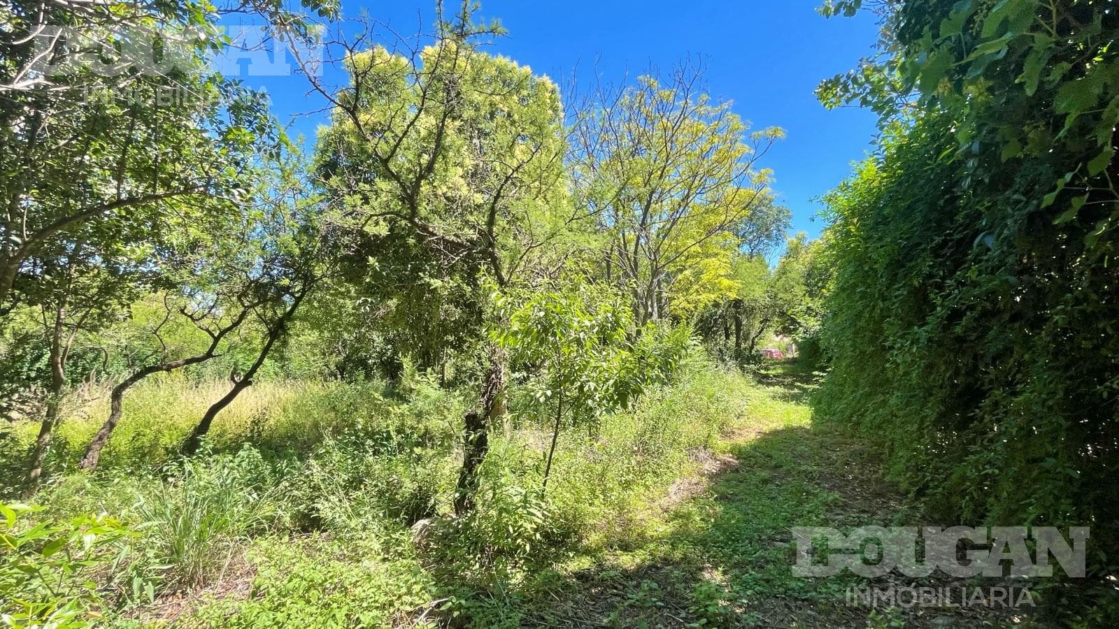 Terreno en Venta en Merlo - Ruta 5 - imagen 14