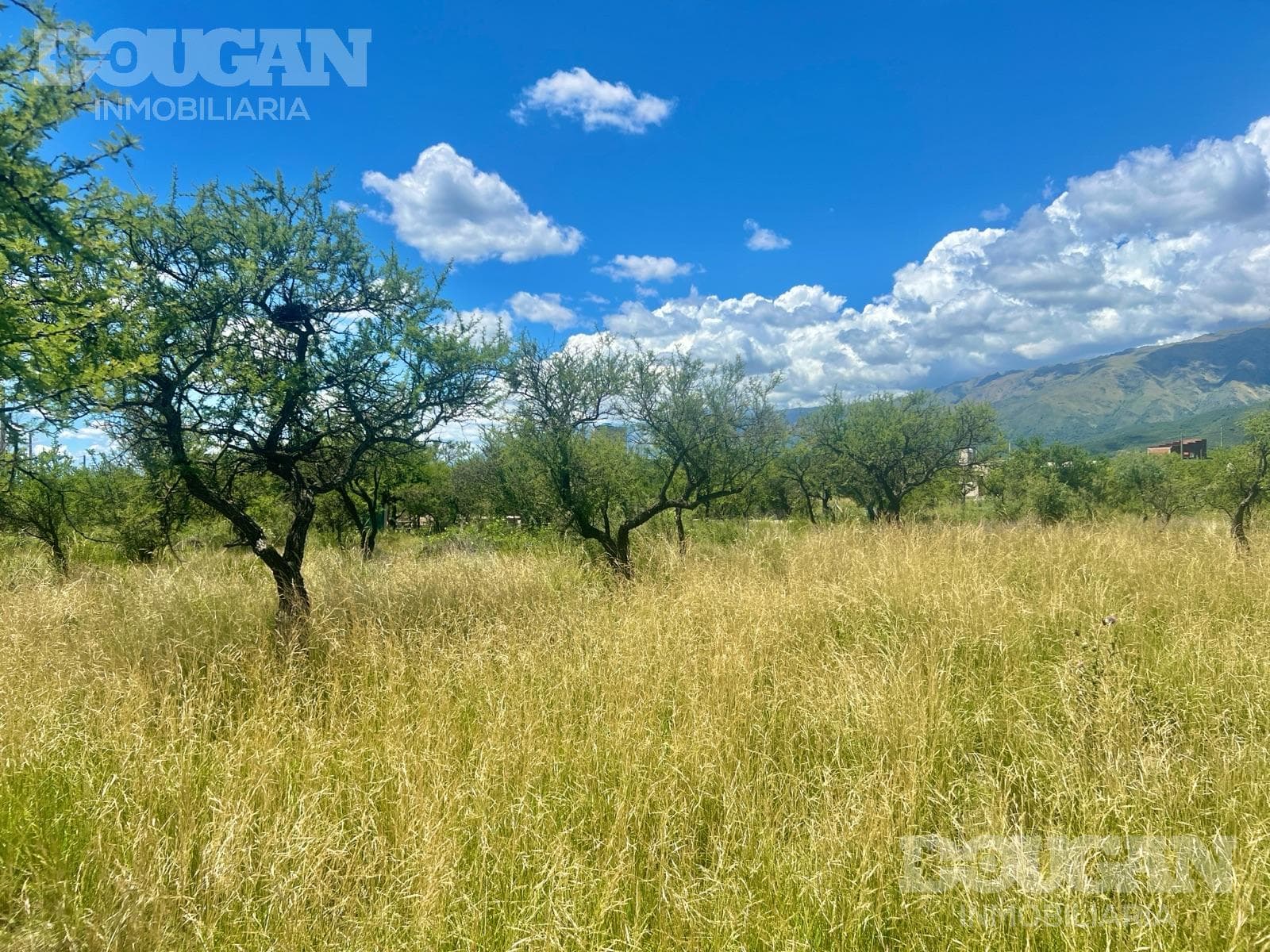Terreno en Venta en Cortaderas - Suelos Puntanos - imagen 8