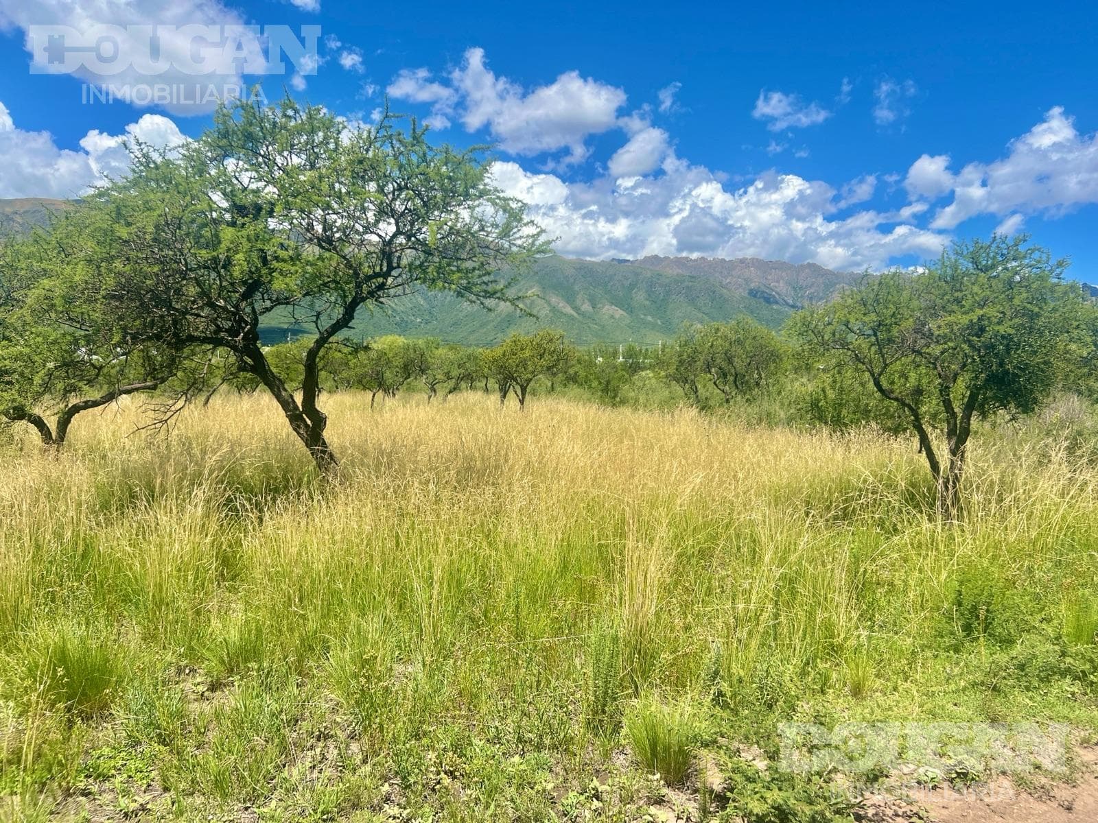 Terreno en Venta en Cortaderas - Suelos Puntanos - imagen 4