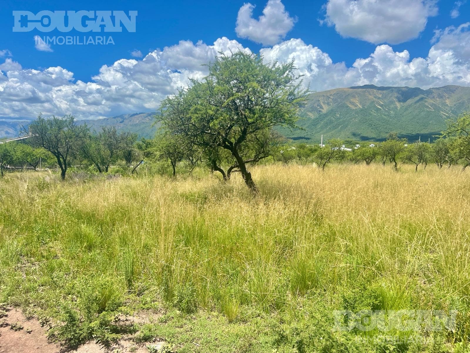 Terreno en Venta en Cortaderas - Suelos Puntanos