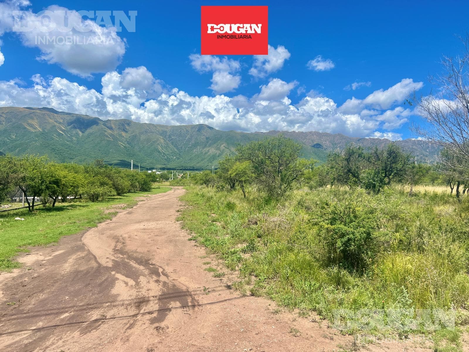 Terreno en Venta en Cortaderas - Suelos Puntanos