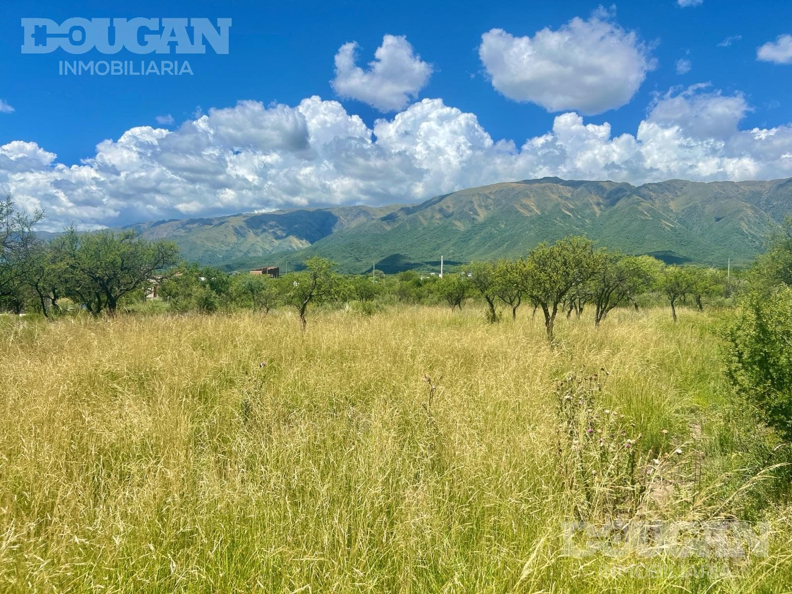 Terreno en Venta en Cortaderas - Suelos Puntanos - imagen 6